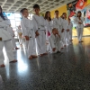 tl_2013_03