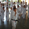 tl_2013_05