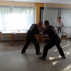 tl_2013_06