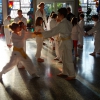 tl_2013_08