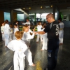 tl_2013_11