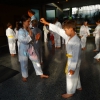 tl_2013_12