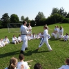 tl_2013_28