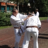 tl_2013_53