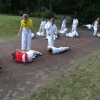 tl_2013_56