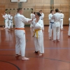 tl_2014_013
