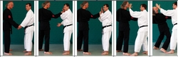shuto uke josef